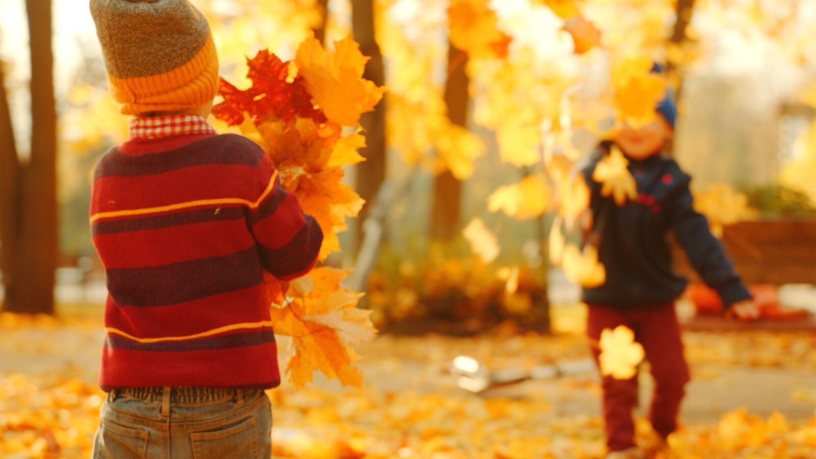 Kids Playing With Leaves In The Fall